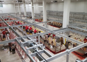 Mafia-like” meat industry: Germany a hotbed for contract worker exploitation