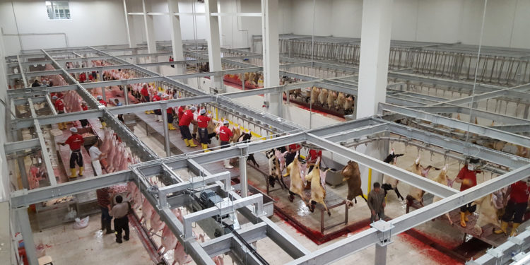 «Мафиозная» мясная промышленность: Германия — рассадник эксплуатации контрактников