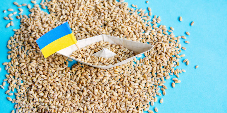 World leaders call on Russia to rejoin Black Sea grain deal